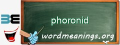 WordMeaning blackboard for phoronid